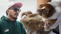 Karhutla Ancam Satwa Liar, PT TIMAH dan Alobi Perkuat Penyelamatan di Bangka Belitung
