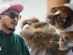 Karhutla Ancam Satwa Liar, PT TIMAH dan Alobi Perkuat Penyelamatan di Bangka Belitung